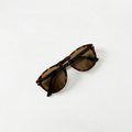 PERSOL - 649 24/57 Havana Brown Polarizzato calibro 54